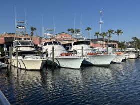 A collection of fishing boats docked at Capt. Anderson's, showcasing a variety of vessels ready for adventure on the water.