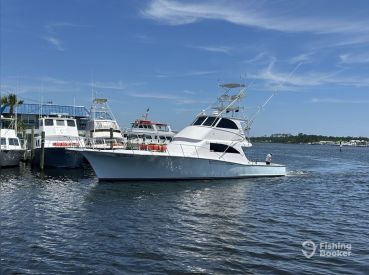 Blue Water Connection LLC – Billistic II