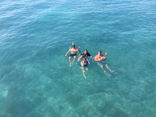 Listing image 1062183