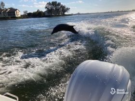 A dolphin leaps gracefully from the water, showcasing its playful nature in a scenic waterway — a captivating moment for wildlife enthusiasts.