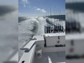 A sleek speedboat cruising through shimmering waters, showcasing fishing rods ready for an exciting day on the sea.