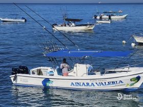 A fishing boat named 'AINARA VALERIA' is docked in the serene waters of Puerto Vallarta, showcasing its vibrant design and fishing gear.