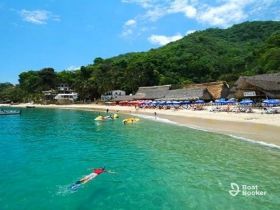 A picturesque beach scene featuring a swimmer snorkeling in clear turquoise waters, surrounded by lush greenery and beachgoers enjoying the sun.