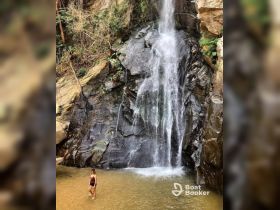 A person enjoys a refreshing swim at the base of a stunning waterfall, surrounded by lush greenery — a perfect spot for nature lovers and adventure seekers.