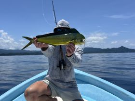 An angler proudly displays a vibrant mahi-mahi catch while fishing on a boat in calm ocean waters, showcasing the thrill of deep-sea fishing adventures.