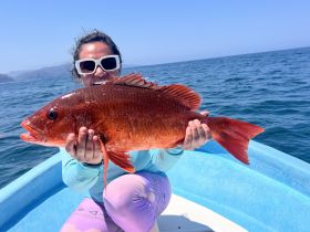 A proud angler holds up a vibrant red snapper while fishing on a boat, showcasing the thrill of a successful catch in beautiful waters.