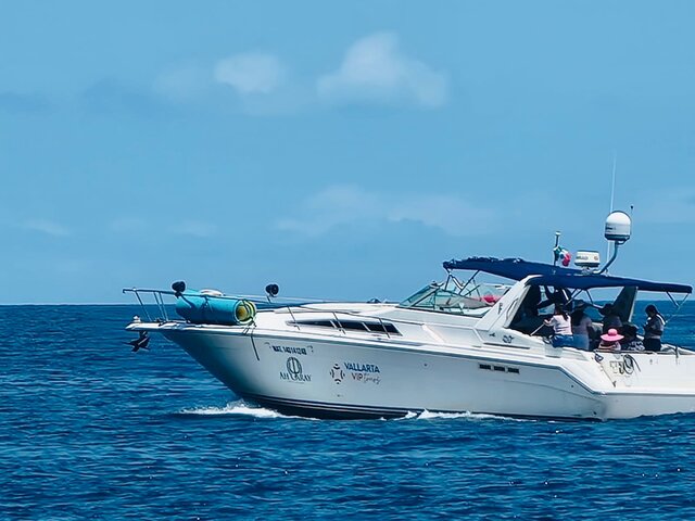 Listing image 1058666