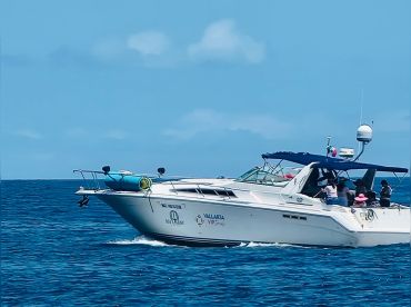 PV Sail Yachts – Sea Ray 42'