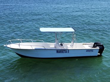 Shark’s Tours