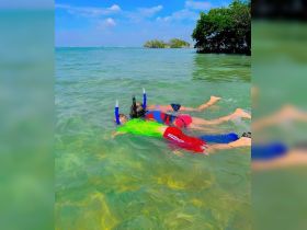 Two children enjoy snorkeling in the clear waters, exploring the underwater world — a perfect family adventure in a tropical paradise.