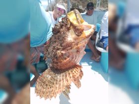 A close-up of a freshly caught fish, with excited anglers in the background, showcasing the thrill of fishing adventures.