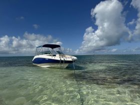 A sleek speedboat anchored in clear waters, showcasing a perfect day for boating adventures under a bright blue sky.