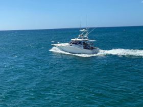Charter Image