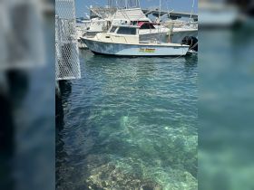 A clear view of the 'Cool Running' boat docked in tranquil waters, showcasing its sleek design and surroundings at the marina.