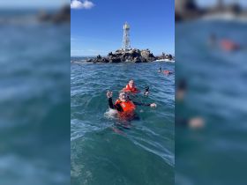 Two snorkelers enjoy an adventurous swim in the ocean, showcasing the excitement of underwater exploration near a rocky lighthouse.