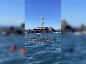 A group of snorkelers explores the ocean near a lighthouse, showcasing the excitement of underwater adventures and marine life encounters.