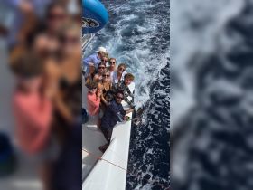 A lively group celebrates a successful fishing trip, posing with their catch on the boat — a perfect moment of camaraderie and adventure on the open ocean.