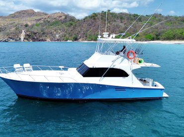 Lupo II - Ocean Life Costa Rica