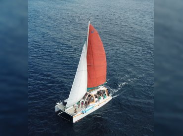 Tradewinds Charters – Sea Scape