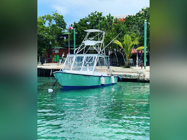 Listing image 1059551
