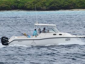 Charter Image