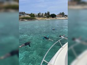 A group enjoys snorkeling in crystal-clear waters, showcasing the vibrant marine life and beautiful surroundings — perfect for adventure seekers.