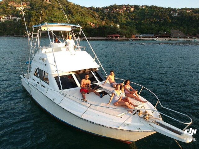 Listing image 1059662