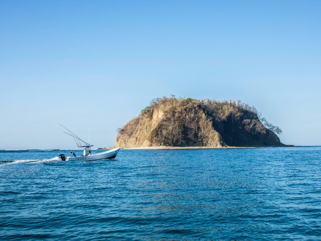 Listing image 1059724