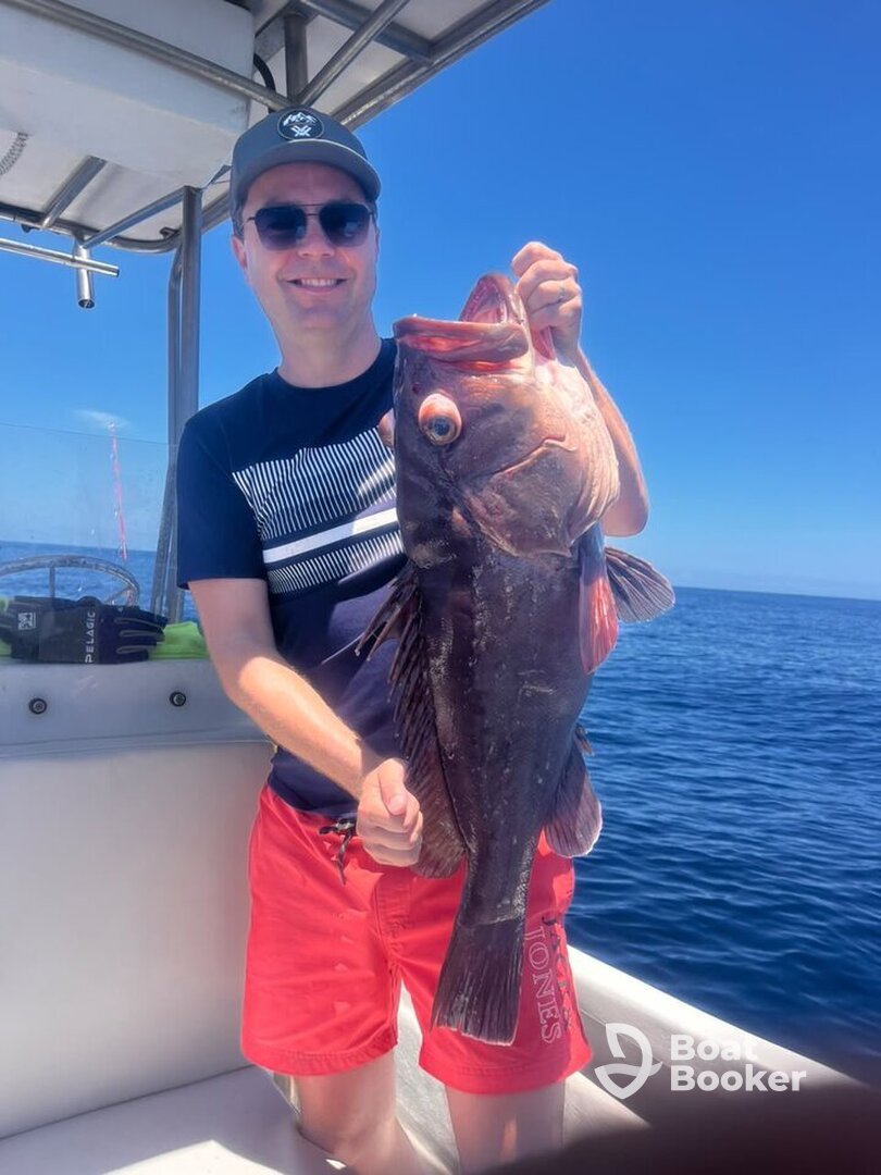 Gladiator Sportfishing Samara (Acuarelas)