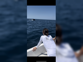 A person watches a whale breach the surface of the ocean, capturing a thrilling moment of wildlife interaction during a boat tour.