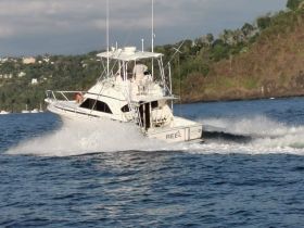Charter Image