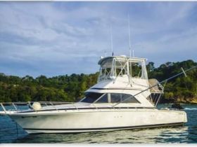 Charter Image