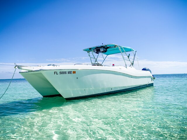 Listing image 1059864