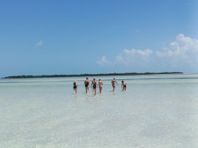 A group of friends enjoys a fun day at a sandbar, wading through crystal-clear waters under a bright blue sky — perfect for beach outings and group adventures.
