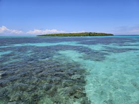 A stunning view of a lush island surrounded by clear turquoise waters, perfect for exploring and enjoying nature's beauty.