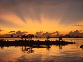 A stunning sunset casts vibrant colors over the skyline and water, creating a picturesque backdrop perfect for evening boat cruises.