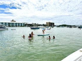 A lively scene at the beach with a group enjoying paddleboarding and swimming in the water, showcasing the fun and excitement of a day out on the water.