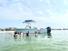 A lively group enjoys a fun day in the water, celebrating with drinks while anchored by their boat — perfect for summer outings and beach parties.