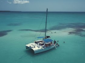 A lively group enjoys a refreshing swim around a catamaran in the stunning turquoise waters, perfect for snorkeling adventures and group outings.