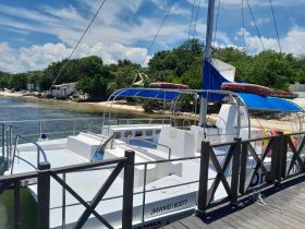 A catamaran docked at a scenic location, showcasing its spacious deck and vibrant blue sails — perfect for group outings and island adventures.
