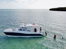 A lively group enjoys a day on the water, with some swimming and snorkeling near their boat in clear turquoise waters — perfect for adventure seekers.