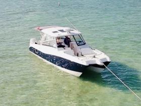 A sleek speedboat anchored in clear waters, showcasing its stylish design and perfect for a day of adventure on the water.