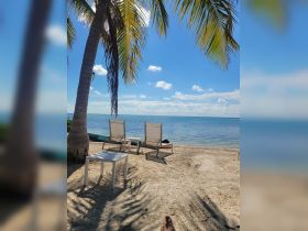 A serene beach scene featuring lounge chairs under palm trees, perfect for relaxation and enjoying the beautiful coastal views.