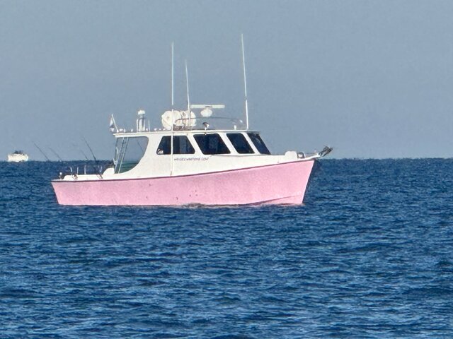 Listing image 1148285