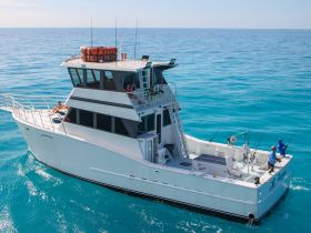 A group of anglers enjoys a day of fishing aboard a spacious boat in the clear blue ocean, showcasing the perfect setting for an adventurous outing.