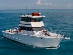 A fishing boat cruising through clear waters, with guests relaxing on the deck — perfect for a day of fishing and sunbathing.