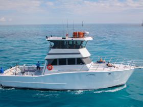 A sleek yacht cruises through clear turquoise waters, with guests enjoying the sun on deck — an ideal setting for a memorable day on the water.