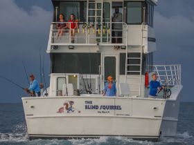 A group of friends enjoys a fishing trip aboard 'The Blind Squirrel' in Key West, showcasing the excitement of ocean fishing and camaraderie on the water.