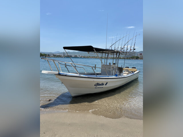 Listing image 1060170