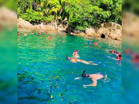 A vibrant group enjoys snorkeling in crystal-clear waters, surrounded by lush greenery — an ideal adventure for marine exploration.